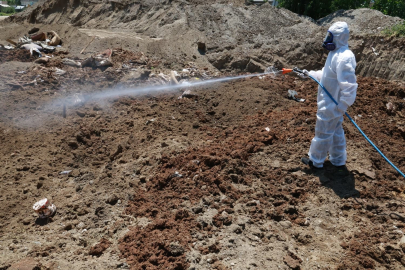 Bursa Osmangazi’de kurban pazarları ilaçlanarak dezenfekte edildi