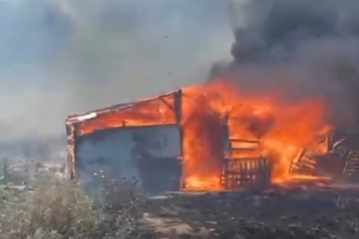 Balıkesir Ayvalık'ta ahır yangını