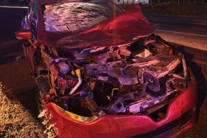 Bingöl'de ineğe çarpan otomobildeki 1 kişi yaralandı