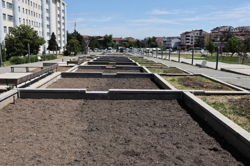 Bursa Nilüfer’de atıl süs havuzları kent bahçesine dönüşüyor