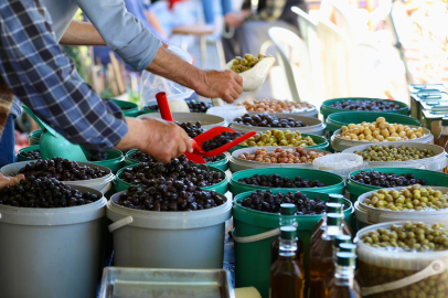 Bursa Tirilye’de 2. Zeytin Çiçeği Festivali başladı
