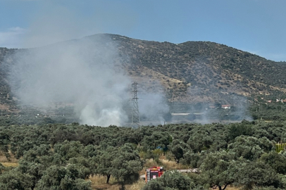 İzmir Bayındır’da zeytinlik alanda yangın