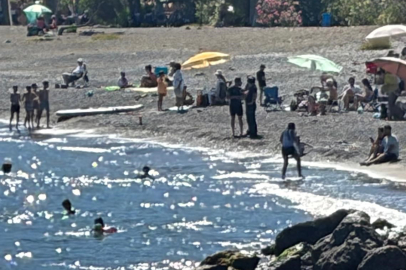 Muğla Fethiye'de kayıp müdür yardımcısı için arama çalışması başlatıldı