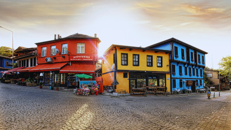 Ne Yapılır?