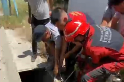 Muğla'da havalandırma boşluğuna düşen eşek kurtarıldı