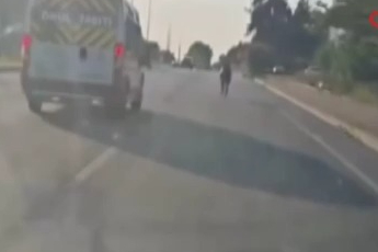 Bursa-Mudanya Yolu'nda başıboş at trafiği tehlikeye attı
