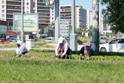 Bursa Osmangazi’nin her yeri çiçeklerle donatılıyor!