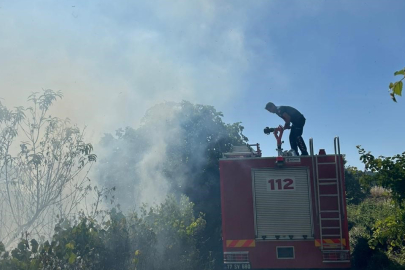 Çanakkale Ezine'de otluk alanda çıkan yangın söndürüldü