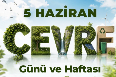 Bursa'da Çevre Haftası coşkusu başlıyor! Leylek Köyü'nden Gemlik'e dolu dolu program...