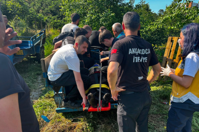 Düzce'de traktör devrildi, sürücü yaralandı