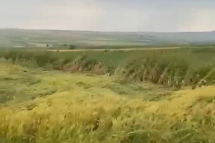 Edirne Kapıkule’de yollar göle döndü, tarlalar zarar gördü