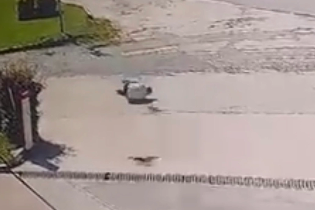 Elazığ'da kargadan kaçarken taklalar attı