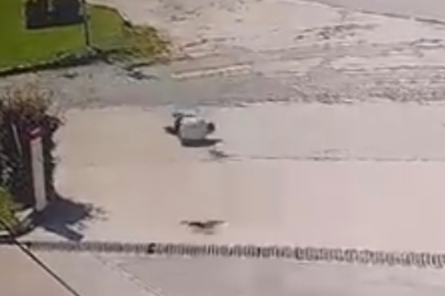 Elazığ'da kargadan kaçarken taklalar attı