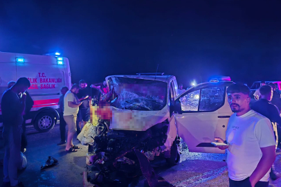 Bingöl'de ata çarpan panelvandaki 1 kişi öldü, 2 kişi yaralandı