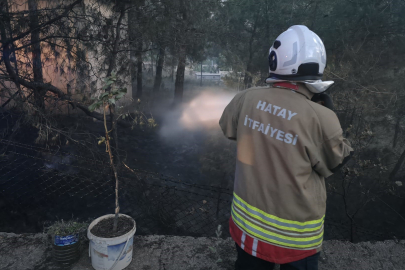 Hatay Hassa'da çamlık alan yangını