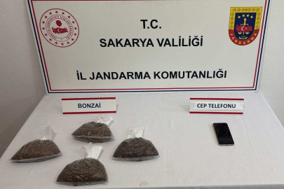 Sakarya'da 3 ilçede uyuşturucu operasyonu: 4 tutuklama