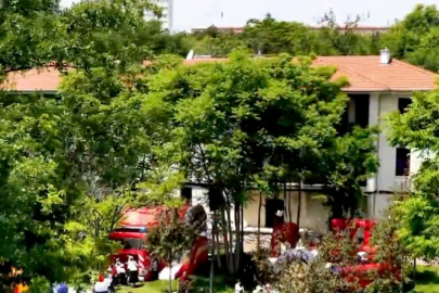 Bakan Kurum'dan Saraçoğlu Mahallesi'ndeki Çevre Haftası etkinliklerine ilişkin paylaşım