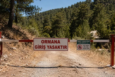 Bursa'da ormanlara giriş yasaklandı! Kurallara uymayanlara ağır ceza...