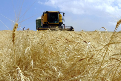 Kırsal kalkınma desteklerinde başvuru süresi uzatıldı
