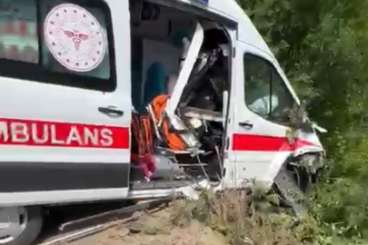 Kocaeli'de hasta taşıyan ambulans yoldan çıkarak yeşillik alana savruldu