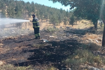 Şanlıurfa'da ormanlık alandaki yangın söndürüldü