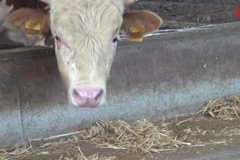 Bursa'da işçi bulamıyorlar! "5 bin TL verseniz dahi yapmak istemiyor"