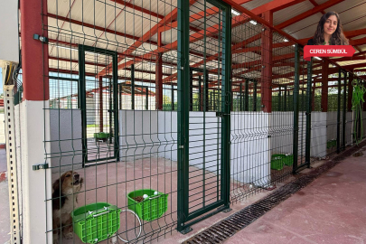 Bursa Yenişehir’de Güney Marmara’nın en büyük hayvan bakımevi hizmete açıldı