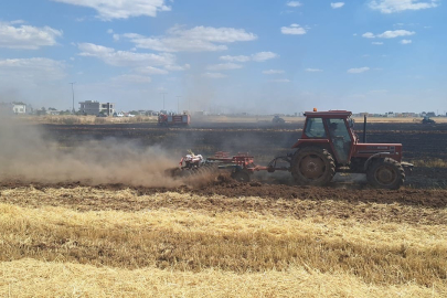 Mardin'de 80 dönüm buğday ekili alan küle döndü