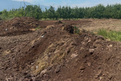Organik gübre fiyatları geçen yıl ile aynı