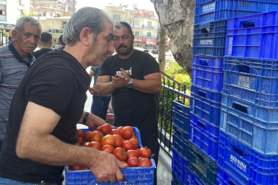 Antalya'da halde alıcı bulamadığı 4 ton domatesi vatandaşlara ücretsiz dağıttı