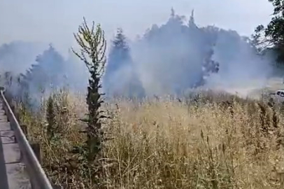 İzmir-Bursa kara yolunda alevler panik yarattı