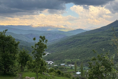 Şırnak'ta ormanlara giriş yasağı!