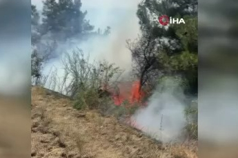 Bursa’da piknik alanı yakınındaki yangın korkuttu