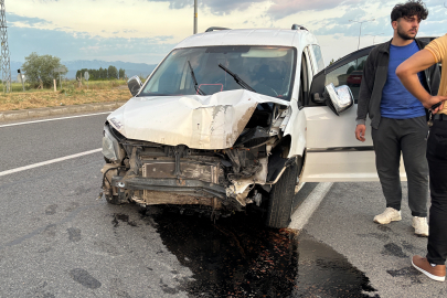 Bingöl'de lastiği patlayan araç refüjdeki direği devirdi: 1 yaralı