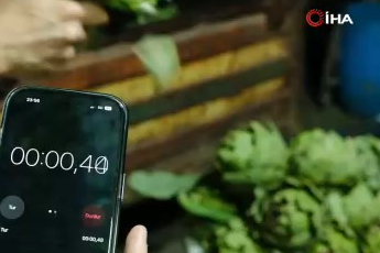 Bursa'da enginar soyarak paraya para demiyorlar! Günde 20 bin lira kazanan bile var