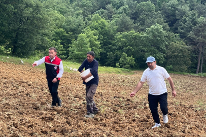 Bursa'da "TAKE" projesiyle tarım arazileri boş kalmayacak