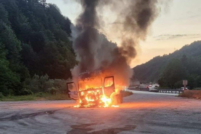 Bursa plakalı tır alevlere teslim oldu! Mezitler'de korku dolu anlar