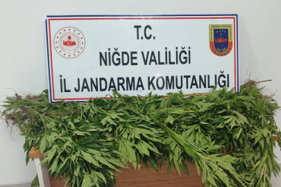 Niğde'de tarla ve evde uyuşturucu madde ele geçirildi