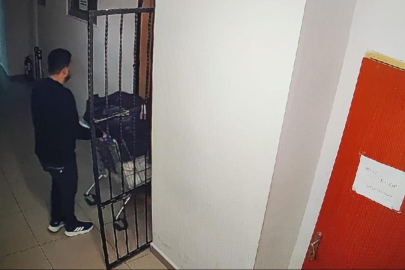 Adli emanet hırsızlığından aranan şüpheliler teslim oldu