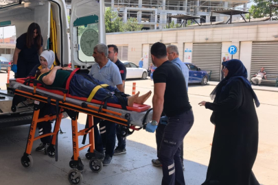 Bursa'da erik toplarken ağaçtan düşen kadın yaralandı