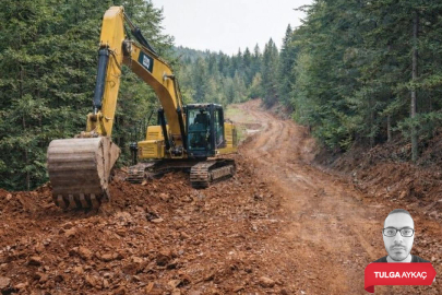6 mahalleyi ilgilendiriyor: Bursa'da 27 kilometrelik orman yolu hamlesi...