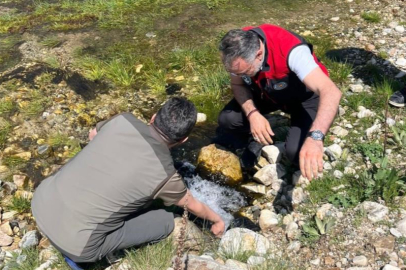 Bursa Uludağ'ın eteklerinde ahududu ve böğürtlen için sulama projesi
