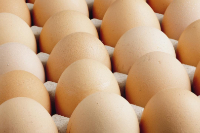 Avrupa'daki kuş gribi Türk yumurtasına talebi artırdı
