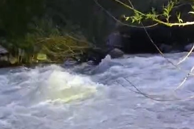 Bingöl'de nehirde kaybolan şahıs için arama çalışması başlatıldı