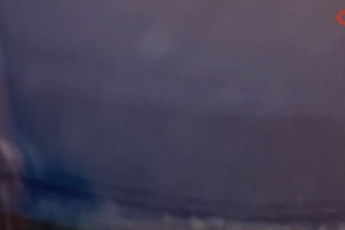 Bursa'da sitenin bahçesinde bulduğu yavru kargalara evinde bakıyor!