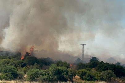 Çanakkale'de bozuk orman sahasında yangın