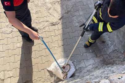 1 buçuk metrelik yılan evin bahçesinden çıktı