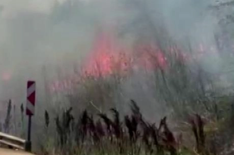 Bursa’da korkutan otluk yangını! Dumanlar yolu kapladı...