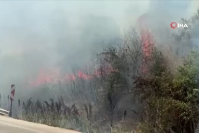 Bursa’da korkutan otluk yangını! Dumanlar yolu kapladı...