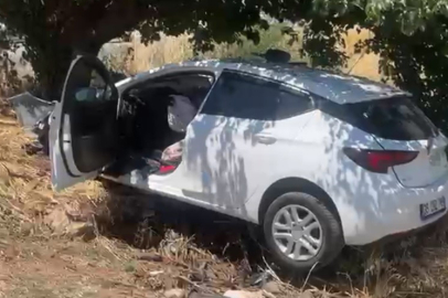 İzmir'de sollama yaparken ağaca çarptı: 4 ağır yaralı